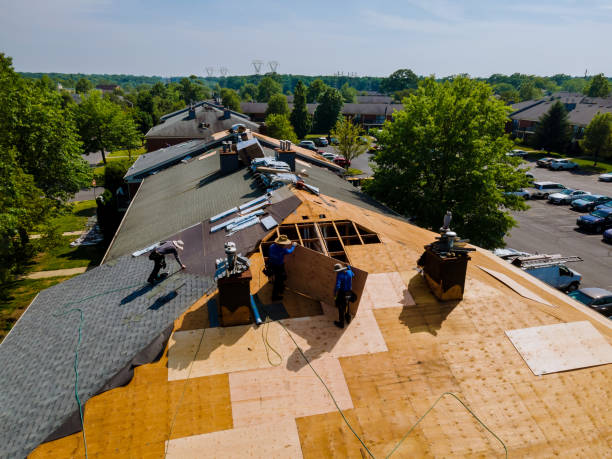 Best Commercial Roofing Services  in Gouldtown, NJ