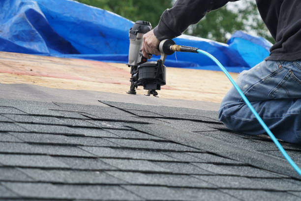 Best Roof Maintenance Services  in Gouldtown, NJ